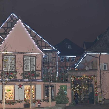 Chez Myriam Bed And Breakfast Studio Parme Colmar Bagian luar foto
