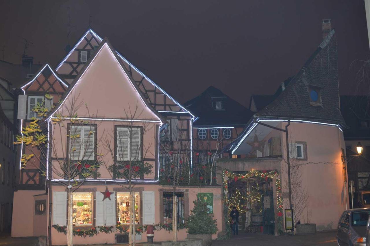 Chez Myriam Bed And Breakfast Studio Parme Colmar Bagian luar foto