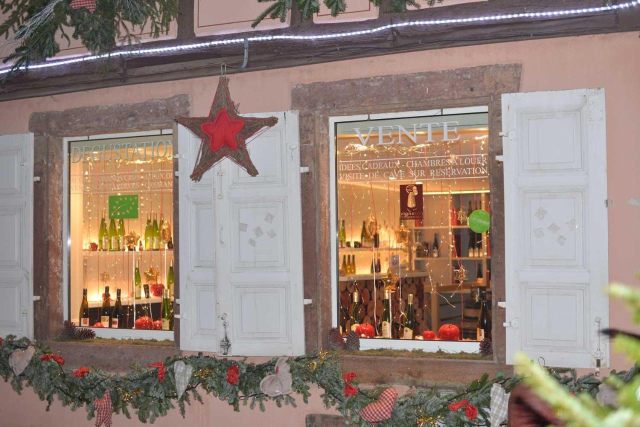 Chez Myriam Bed And Breakfast Studio Parme Colmar Bagian luar foto